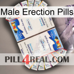 Male Erection Pills kamagra1